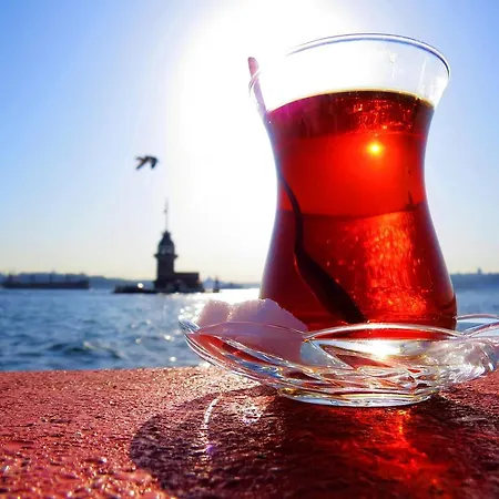 Hotel Erenler & Estambul