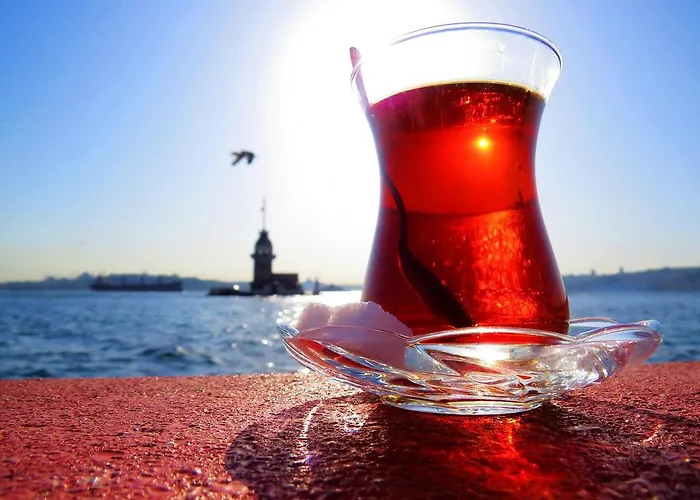 Hotel Erenler & Istanbulská provincie