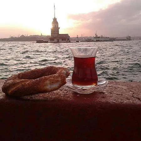 Erenler Hotel&hostel 2* Istanbul